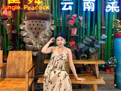 -雀舞云南菜(天津天河城购物中心店)