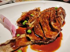西湖酥醋鱼-桂满陇天书(南京德基旗舰店)