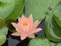 -白鹭湾湿地公园