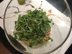 虫草花拌穿心莲-渝半城经典川粤菜(重庆天地店)