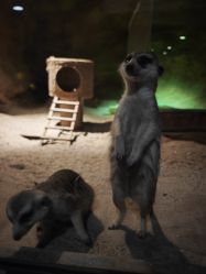 -酷嗒动物文化乐园(cutezoo西溪乐天城店)