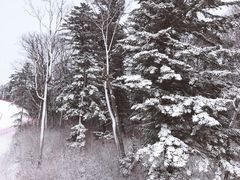 -长白山万达国际滑雪场