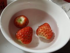 -建德果蔬乐园绪塘草莓基地