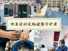 -特一安24小时宠物医院·骨科·中兽医