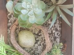 -喧闹·东方大气茶(鹅岭二厂店)