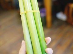 -老品芳