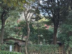 -东京国立博物馆