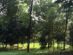 -合肥野生动物园