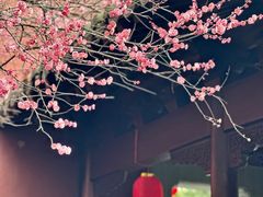 -钱王祠