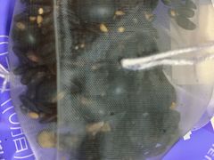 -默迹咖啡馆