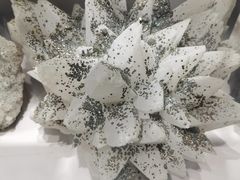 -中国地质博物馆
