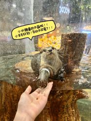 -Zoolung Zoolung动物主题公园(海信广场店)