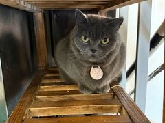 -春笙食堂.丼饭拉面寿司(GOGO新天地店)