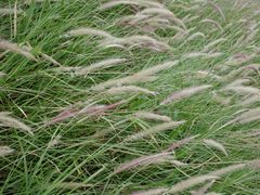 -中国天府农业博览园