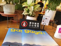 -gaga(深圳福田星河COCO Park店)
