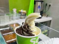 -Salud撒露欧洲冻酸奶(北苑上品店)