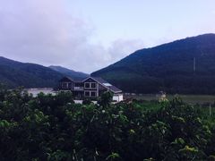 -慢丽江·云南野生菌土鸡锅(西山店)