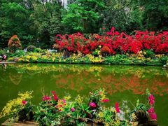 -深圳仙湖植物园