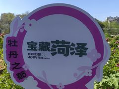 -曹州牡丹园