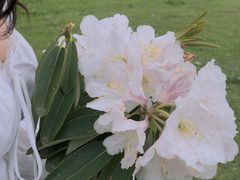 -石棉县孟获城