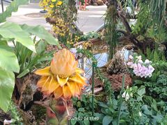 -国家植物园南园