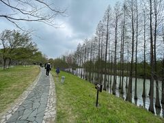 -苏州太湖国家湿地公园