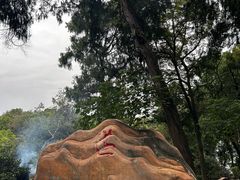 -子昂故里文化旅游区
