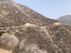 -妙峰山风景名胜区
