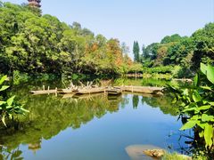-深圳仙湖植物园