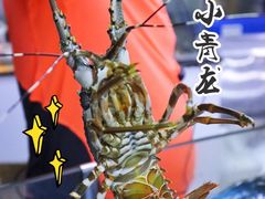 -肥仔濑尿虾(全球通总店)