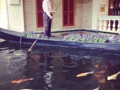 威尼斯酒店-深圳威尼斯英迪格酒店