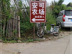 -长洲岛