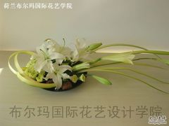 -荷兰布尔玛国际花艺学院
