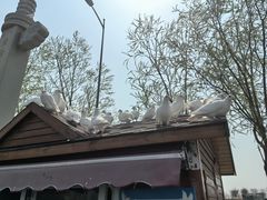 -天津妈祖文化园