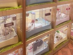 -宠物兔专门店(天丰利市场店)