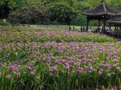 -龙头寺公园