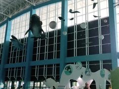 -泉城欧乐堡海洋极地世界