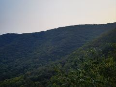 -皇藏峪国家森林公园