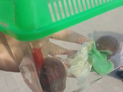 -北戴河圣蓝海洋公园