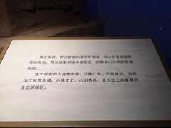 -四川宋瓷博物馆