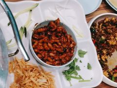 -合合春饼·酱骨·东北菜(潘家园店)