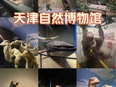 -天津自然博物馆