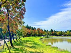 -宁波杭州湾国家湿地公园