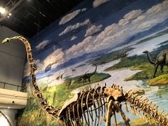 -自贡恐龙博物馆