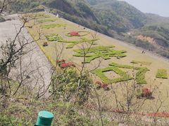 -浙东大峡谷风景区