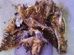 -夜火烤摊·东北烧烤酒场·老杨小黄鱼