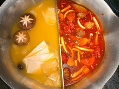 台式麻辣花胶鸡鸳鸯锅-湊湊火锅·茶憩(世博大道店)
