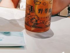 -野萃山·潮汕厚果汁(十亩地店)