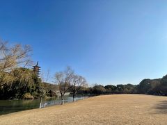 -上海方塔园