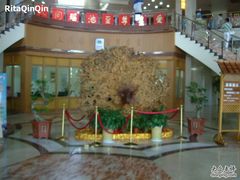 -金孔雀温泉旅游度假村